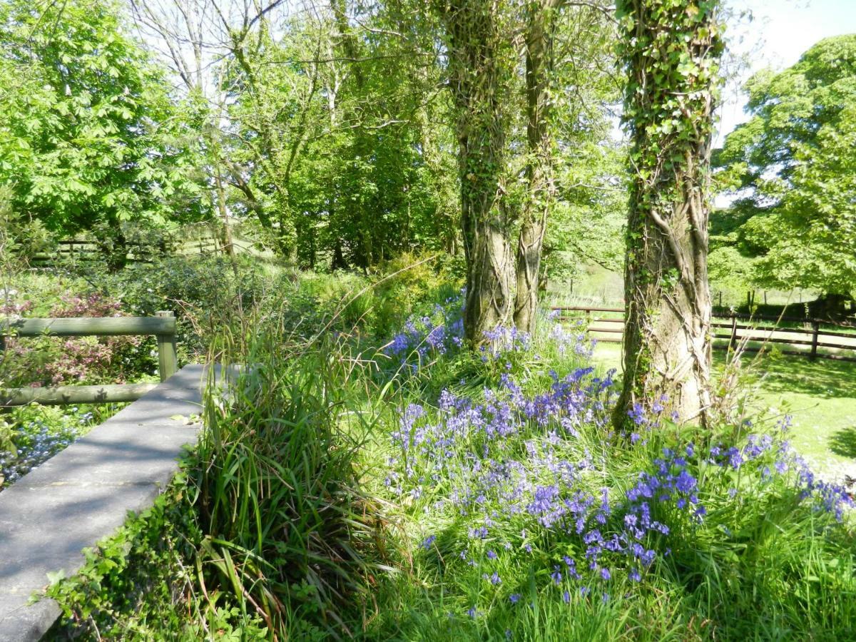 Cilwen Country House Bed And Breakfast Abernant Exterior photo